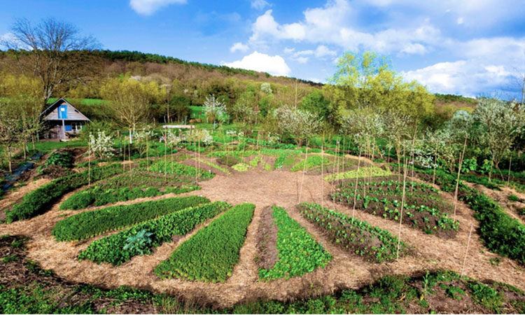 Récit d'un stage de permaculture réalisé dans le cadre de la création de l'écolieu - Un exemple avec la ferme du Bec Hellouin