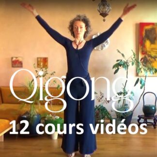 12 cours vidéos de Qi gong